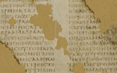 Pasión por los libros – pasión por la Biblia