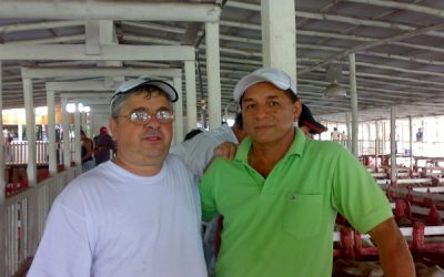 SVD en Costa Rica, Fundación ALBA en España