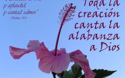 Dígalo con salmos