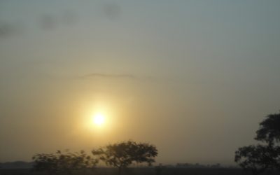 Memorias de Kenia (Misioneros del Verbo Divino en el mundo)