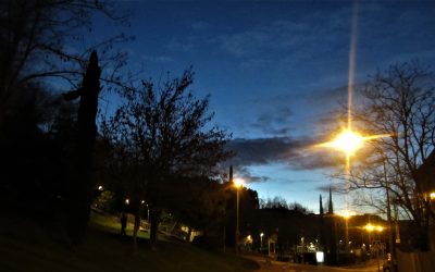 Cristina Jiménez, nueva Firma en esta nuestra WEB; así crecemos