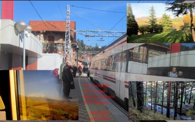 ¡Hay caminos tan cerca que merecen ser transitados….! Hoy 6, festivo en color