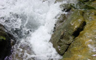 Todos al agua, nos insiste EL PAÍS