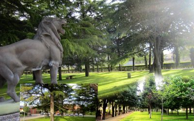 Aquí, en Dueñas, la Asamblea SVD ESPAÑA