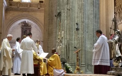 Ordenado sacerdote en la Catedral de Sevilla: historia SVD, Historia catedralicia