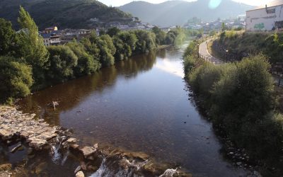 Casi todo nuestro mundillo svdesp está activo en encuentros, trayectos, realizaciones. Por nuestra parte, otro invento