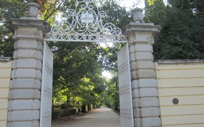 Madrid: Domingo con variación de luces, de 7:40 a 11.40, con misa incluida