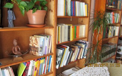 ¿Para qué sirve una biblioteca en el siglo XXI?