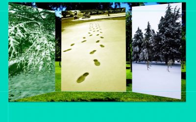 ¡Qué detalle, Señor, has tenido con nosotros, con esta nevada! Pero Euquerio escribe un lamento