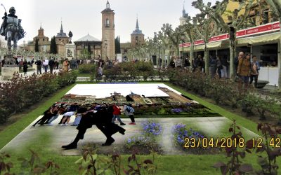 ¿De dónde los libros en España? ¿Alcalá de Cervantes?