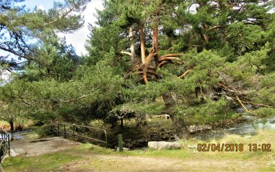 ¿Quién pasa indiferente por el entorno de nuestra casa en Estación de El Espinar?