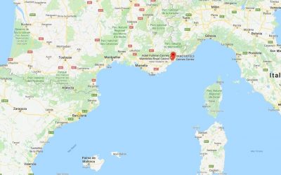 Martin Scorsese, por su cualidades innovadoras