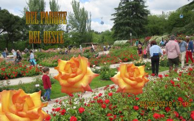 Basta mirar para descubrir Pentecostés