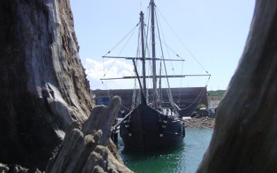 ‘Quiero ver’ + EVD Pequeñas Semillas que darán Fruto seguro