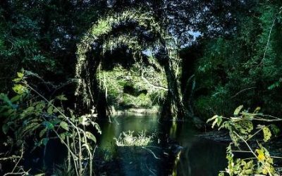 Por supuesto, también la SVD tiene que ver con este Sínodo de la Amazonia