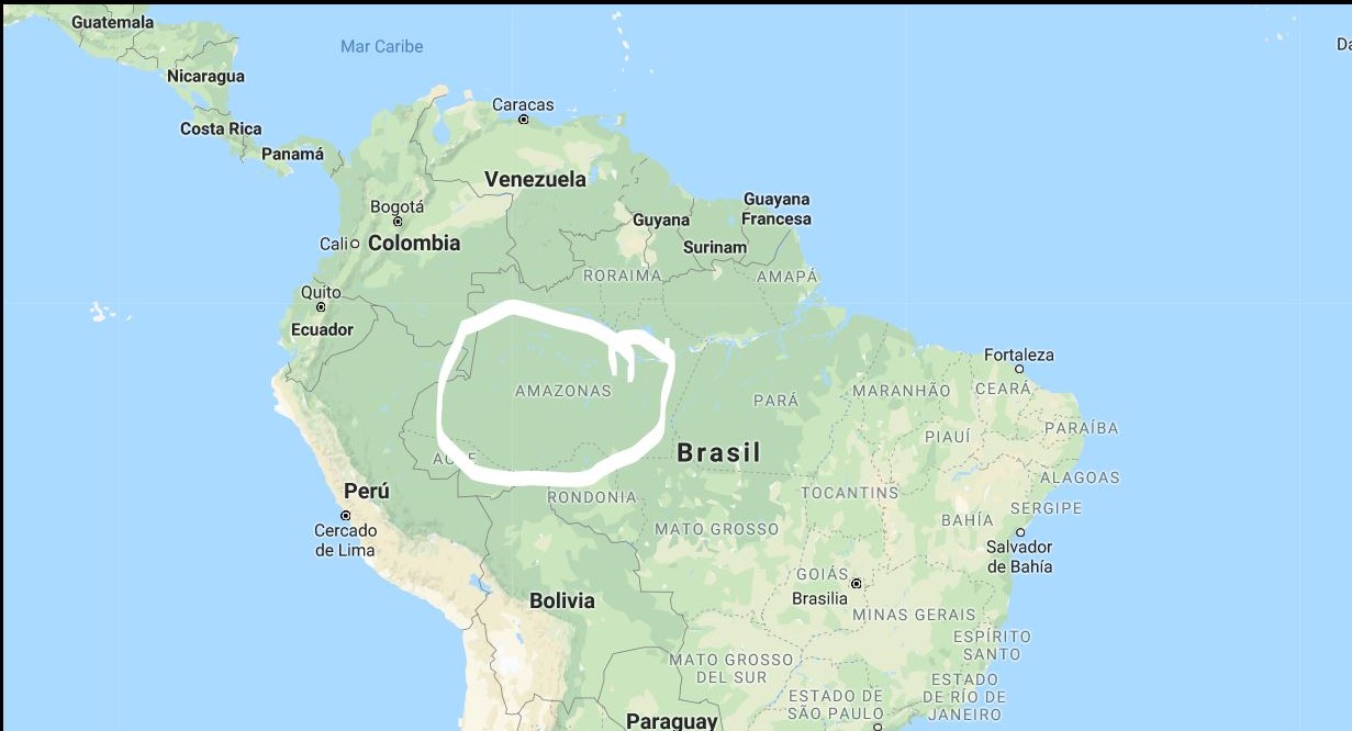 Región SVD Amazónica