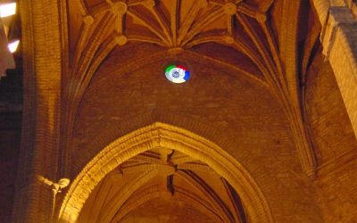 Encuentros sorpresa viajando en vacaciones