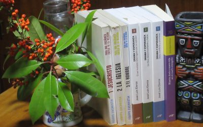 Opinión de José María Castillo · Y nosotros, los SVD misioneros en 5 continentes…