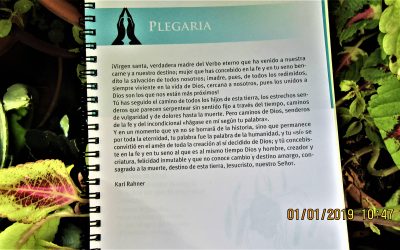 Uno de nuestros clásicos, en la fiesta de 1º de Enero