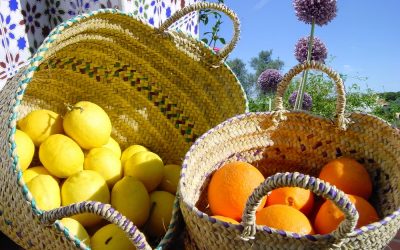 Fernando y Yunar en Santa María de la Granada, y su diócesis así, Comunicando a lo grande