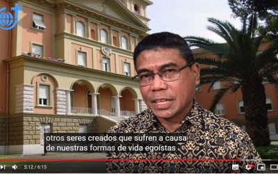 Nuestra Pascua SVD: vínculos desde el corazón