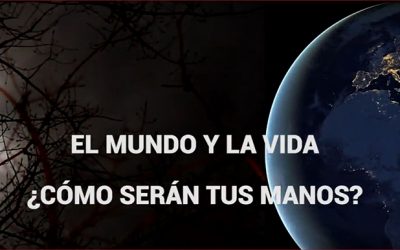 Domingo V del Tiempo Ordinario (Ciclo A)