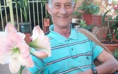 JOSÉ DEL BOSQUE  MATELLÁN